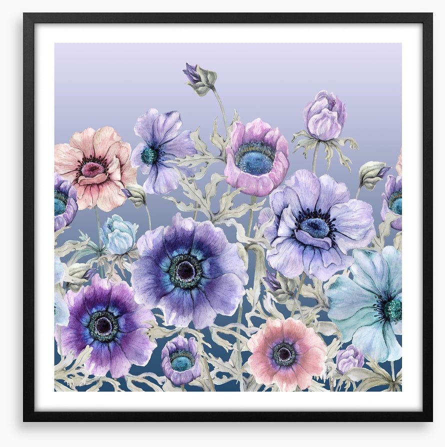 Awakening anemone