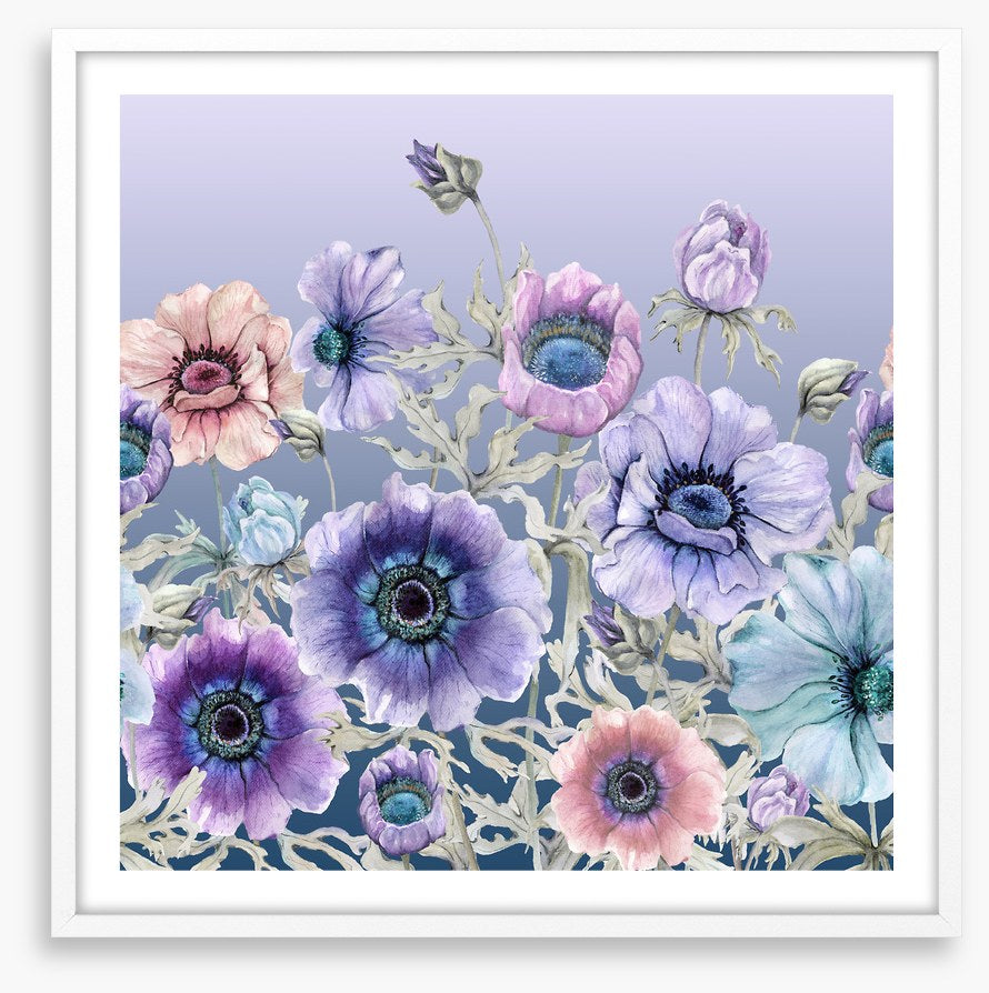 Awakening anemone