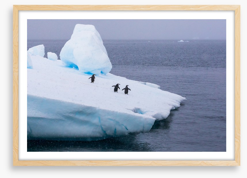 Glaciers