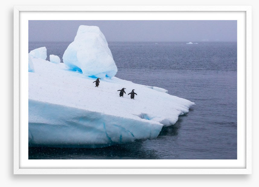 Glaciers