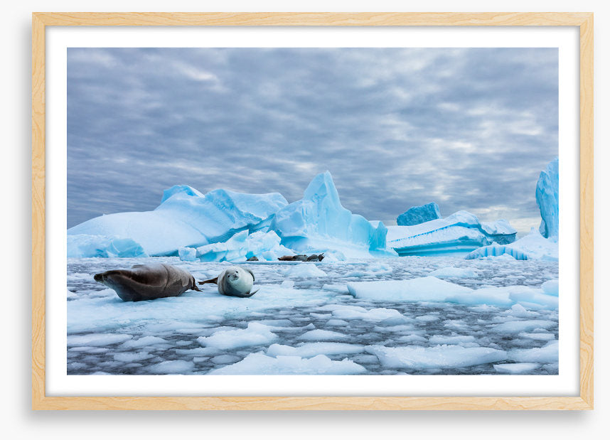 Glaciers