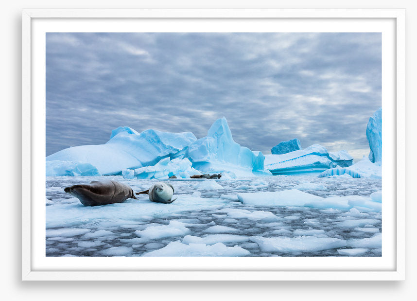 Glaciers