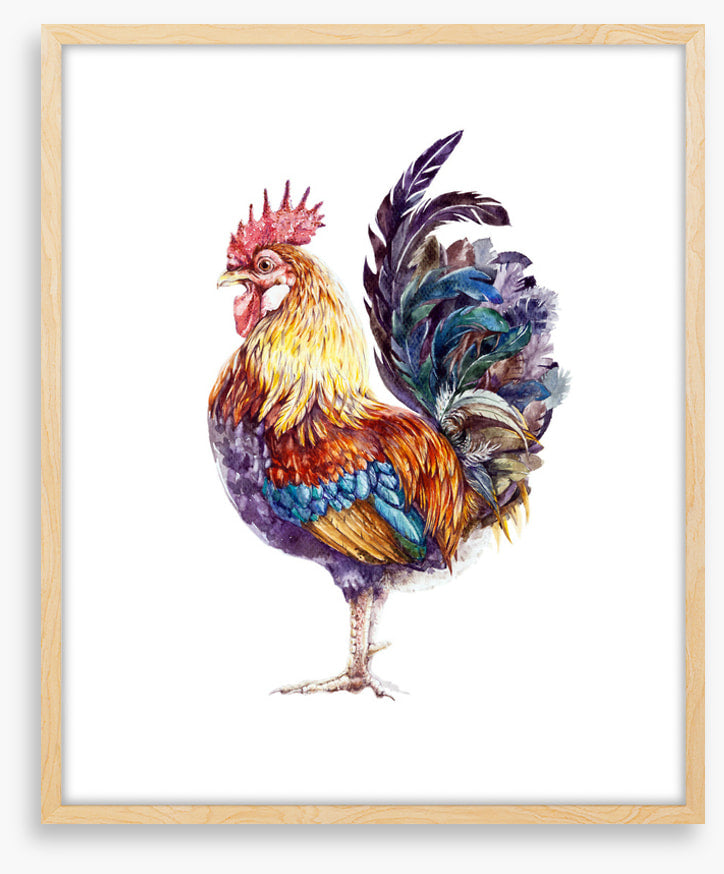 Rooster ruffles