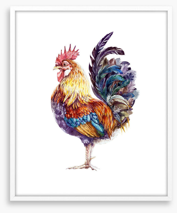 Rooster ruffles