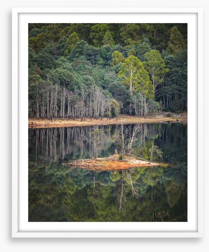 In the forest lake
