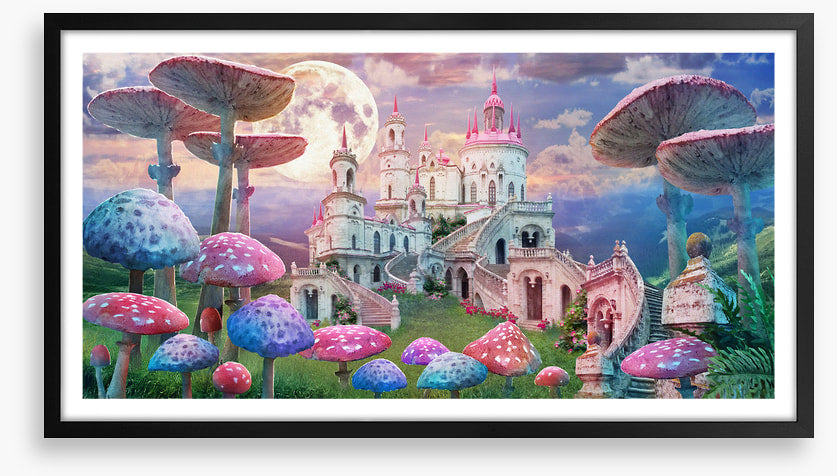 Castle of the wonderland