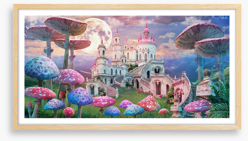 Castle of the wonderland