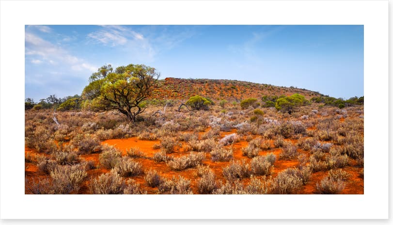 Outback