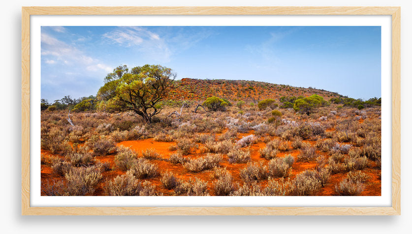Outback