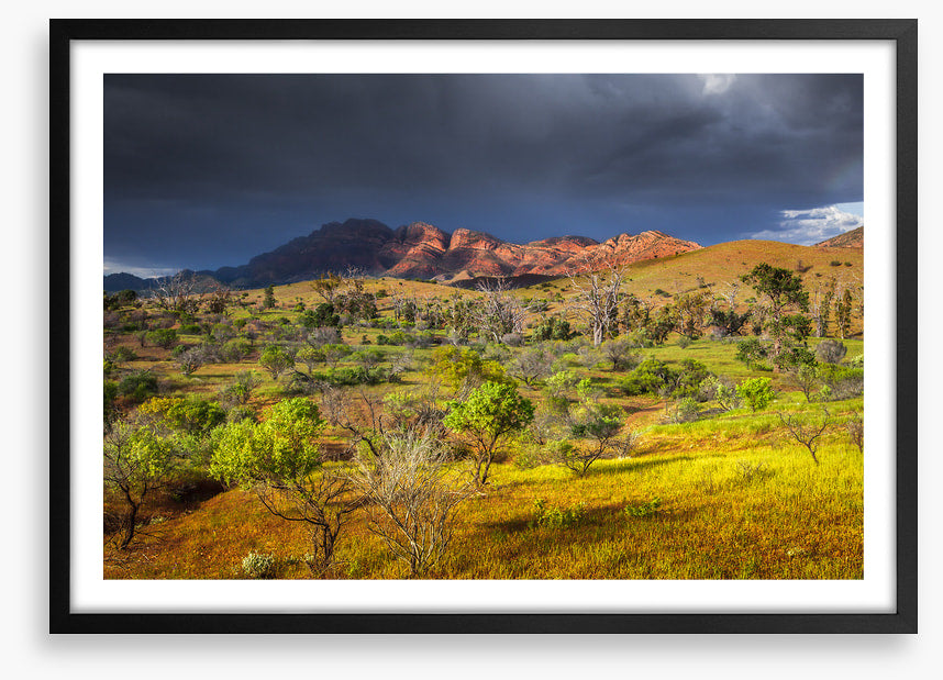 Stormy sunlight