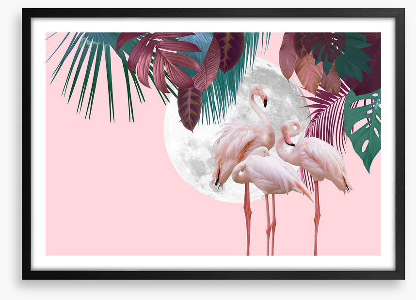 Full moon flamingos
