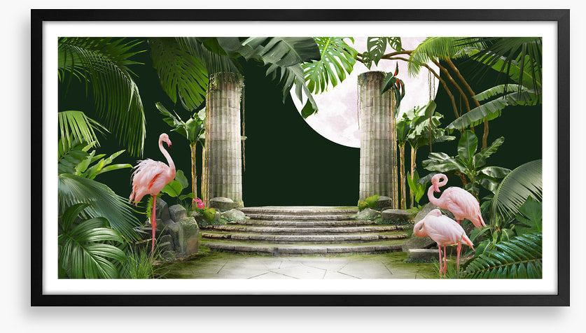 Flamingo moon