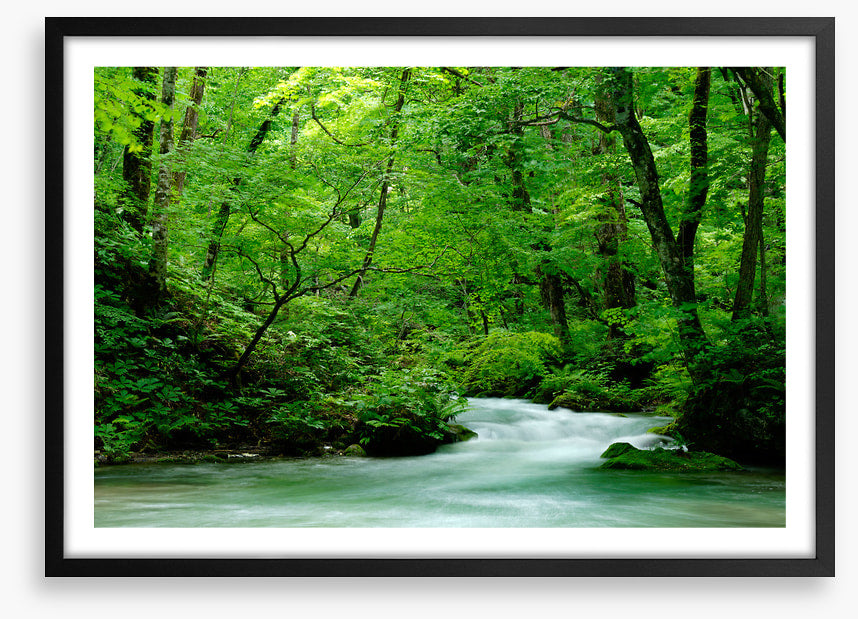Fast forest flows