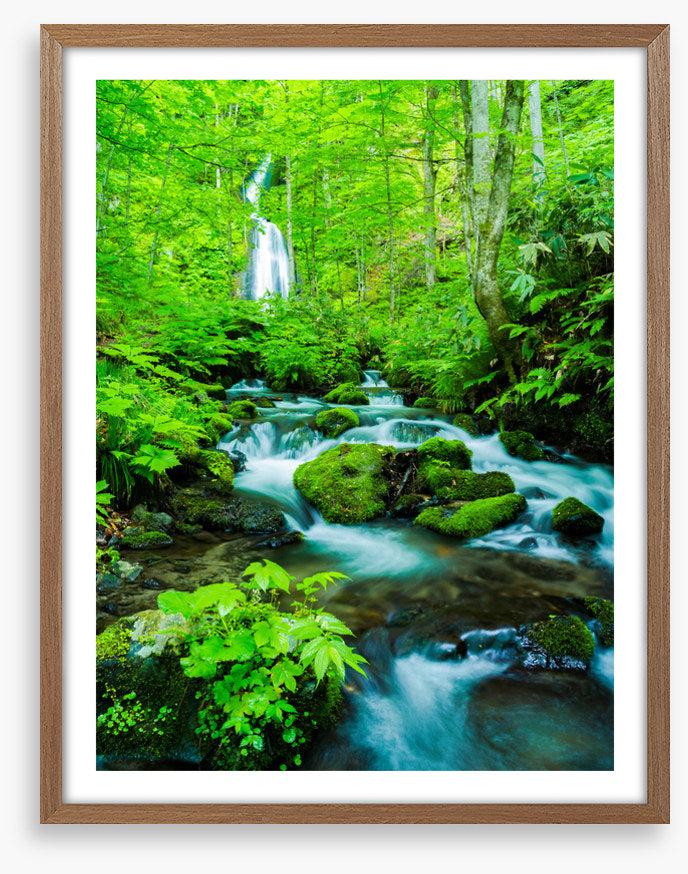 Waterfalls