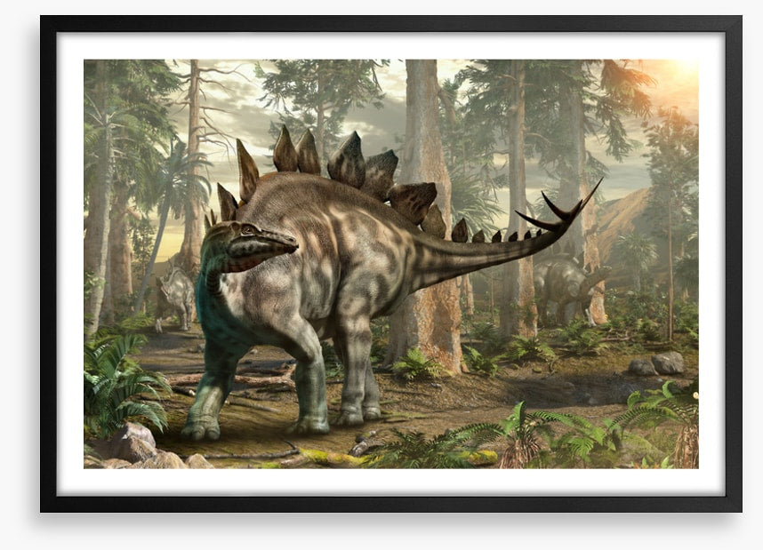 Stegosaurus scout