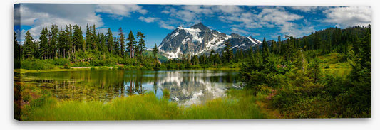 Picture Lake panorama