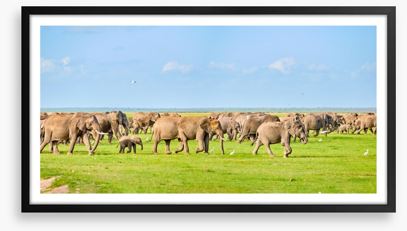 Africa