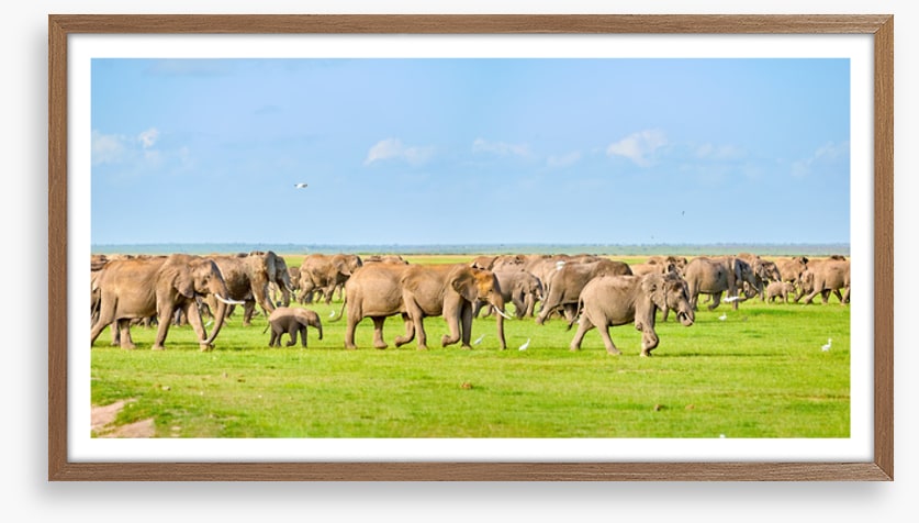 Africa