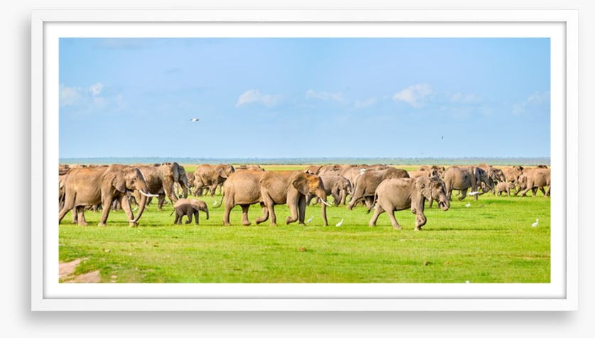 Africa