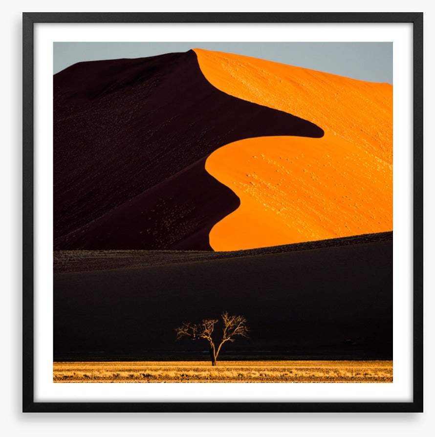 Desert