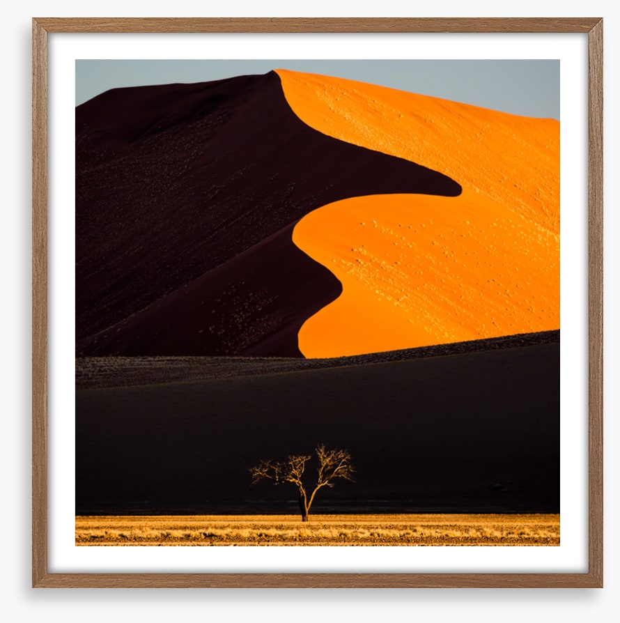 Desert