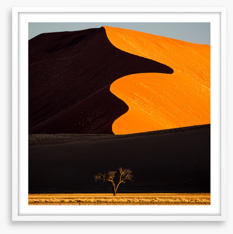 Desert