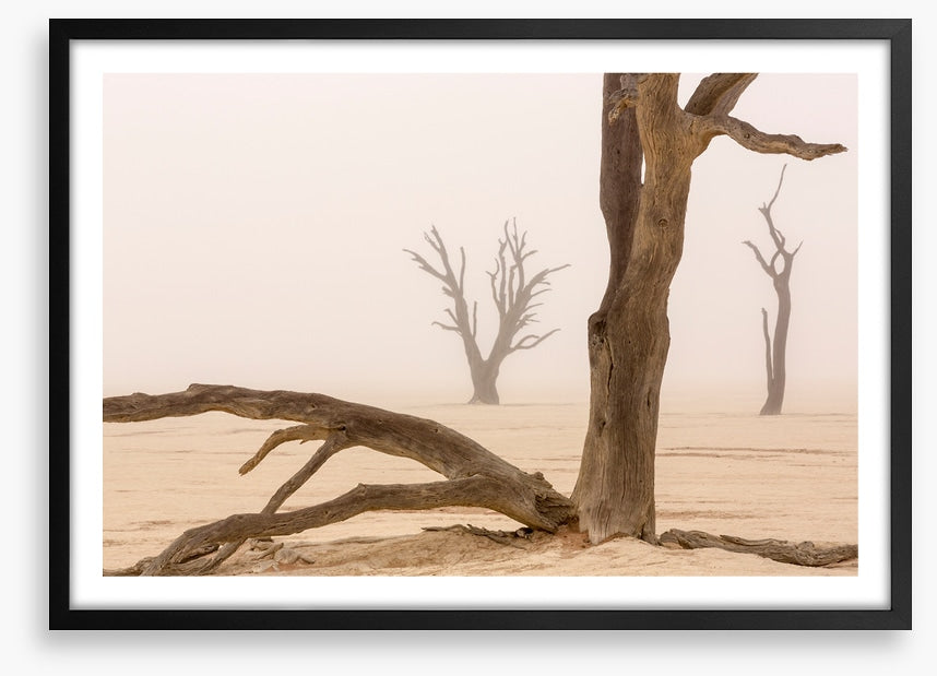 Ghosts of the desert
