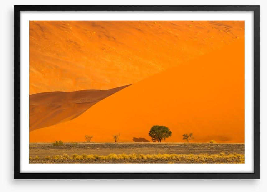 Below the dune
