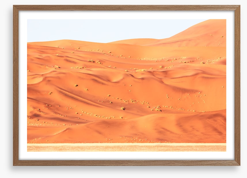 Desert