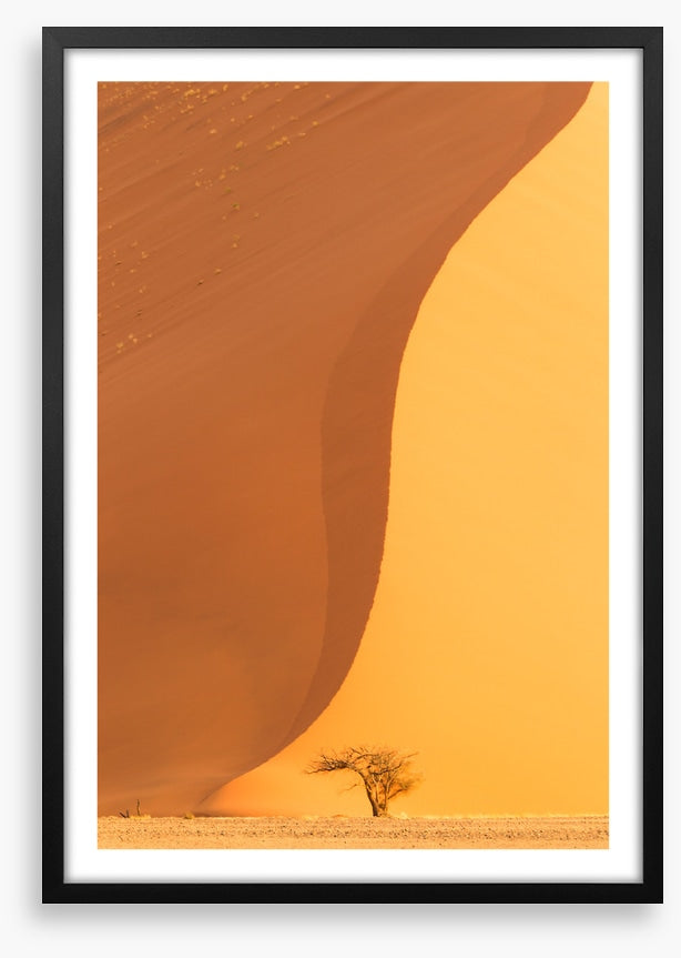 Dwarfed by the dune