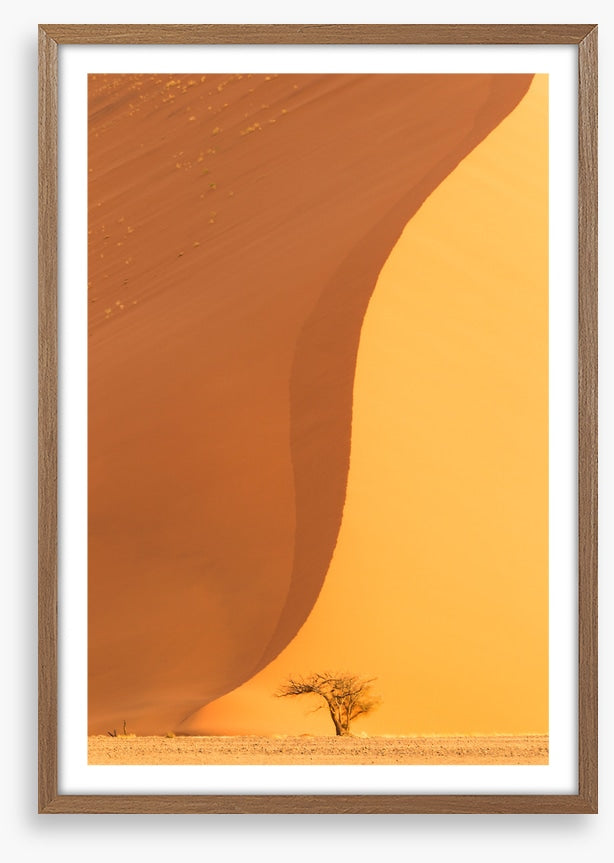 Dwarfed by the dune