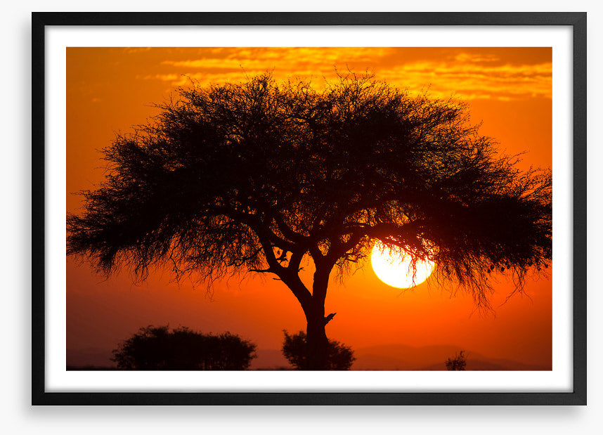 Africa