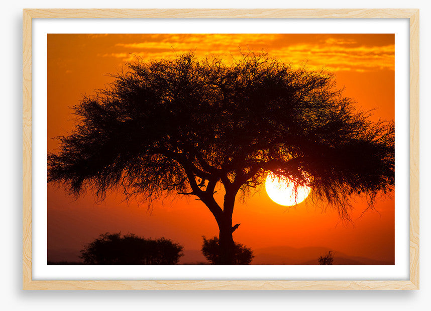 Africa