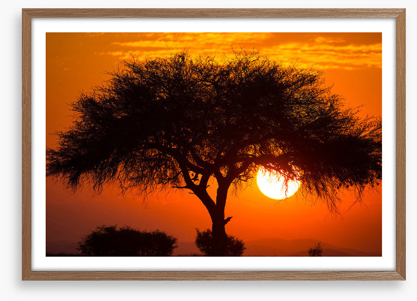 Africa