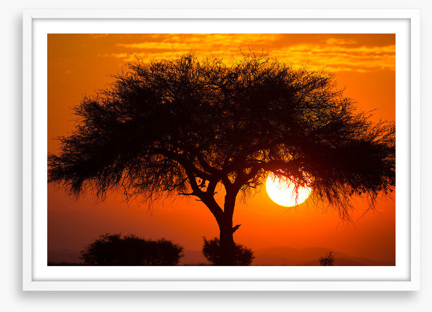 Africa