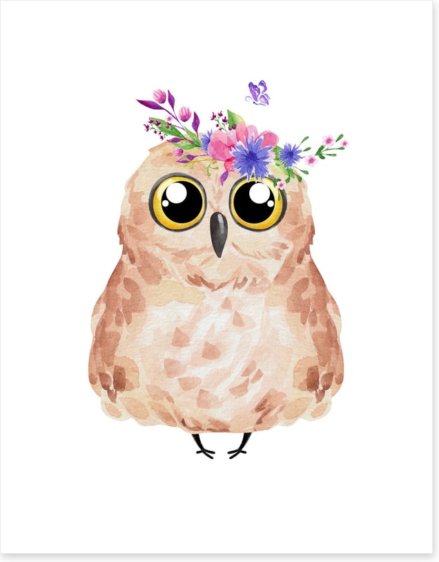 Owls