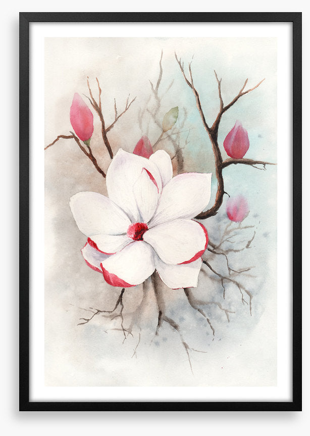 The first magnolia