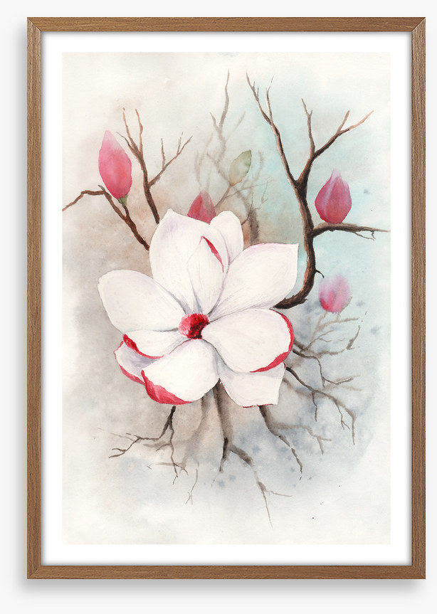 The first magnolia