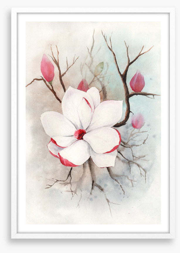 The first magnolia