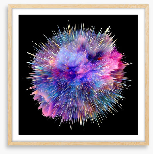 Bursting with colour 2