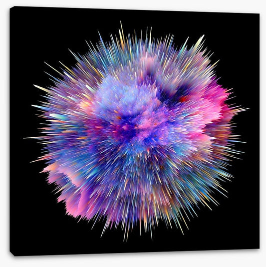 Bursting with colour 2