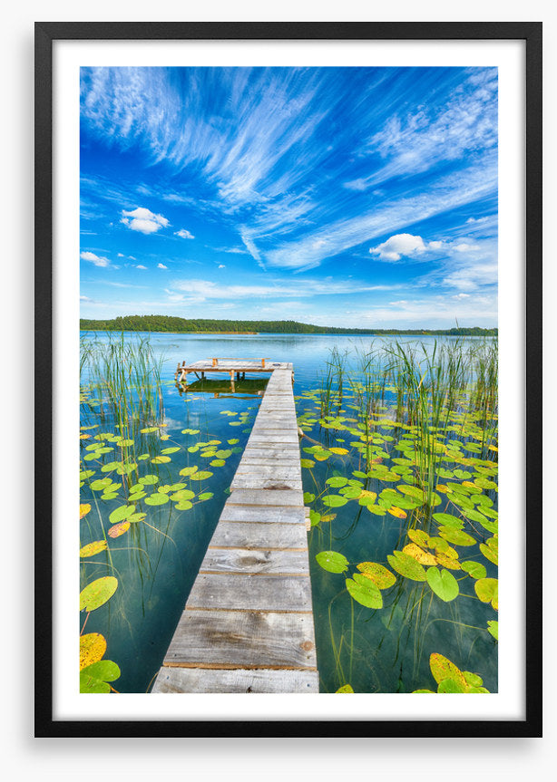 Over lily pad lake