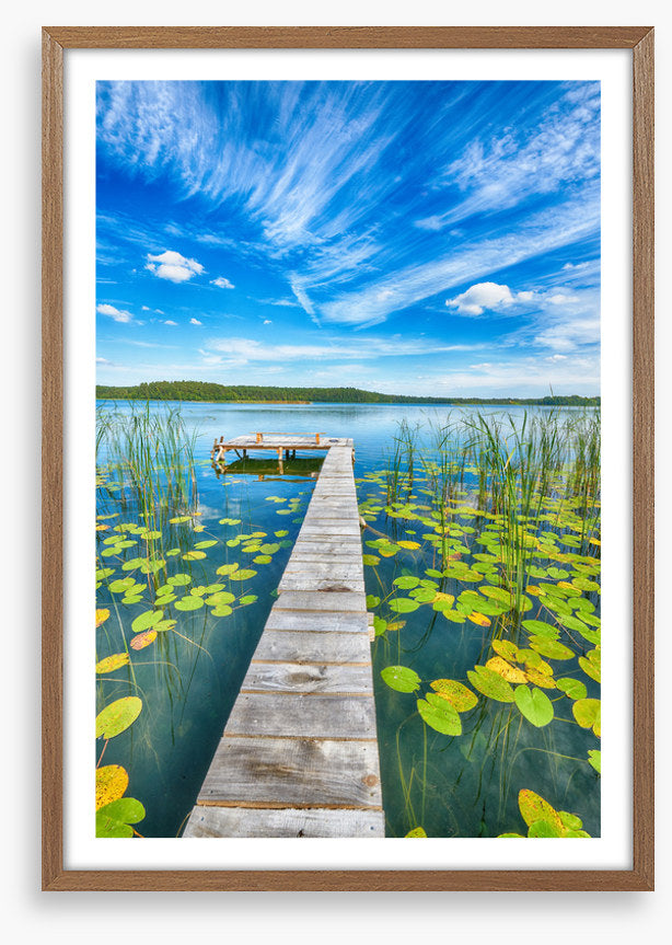 Over lily pad lake