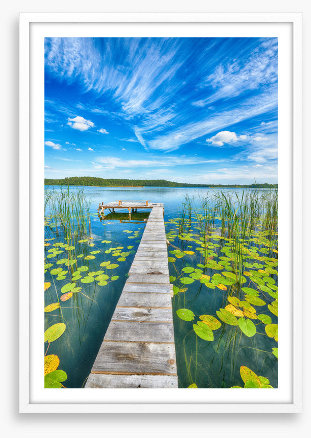 Over lily pad lake