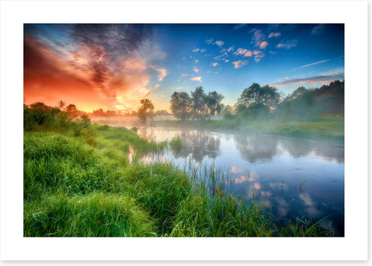 Riverbank reflections