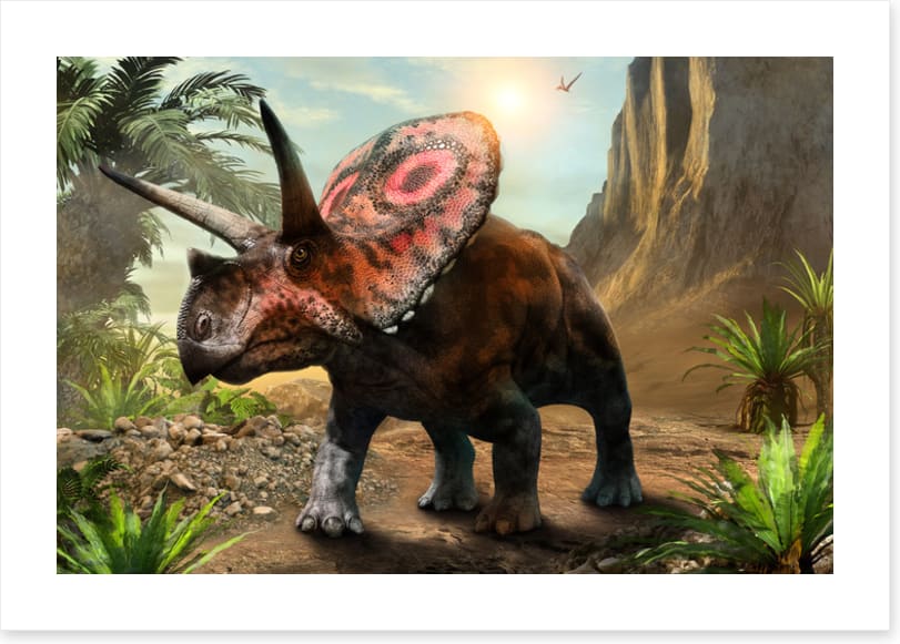Torosaurus stare