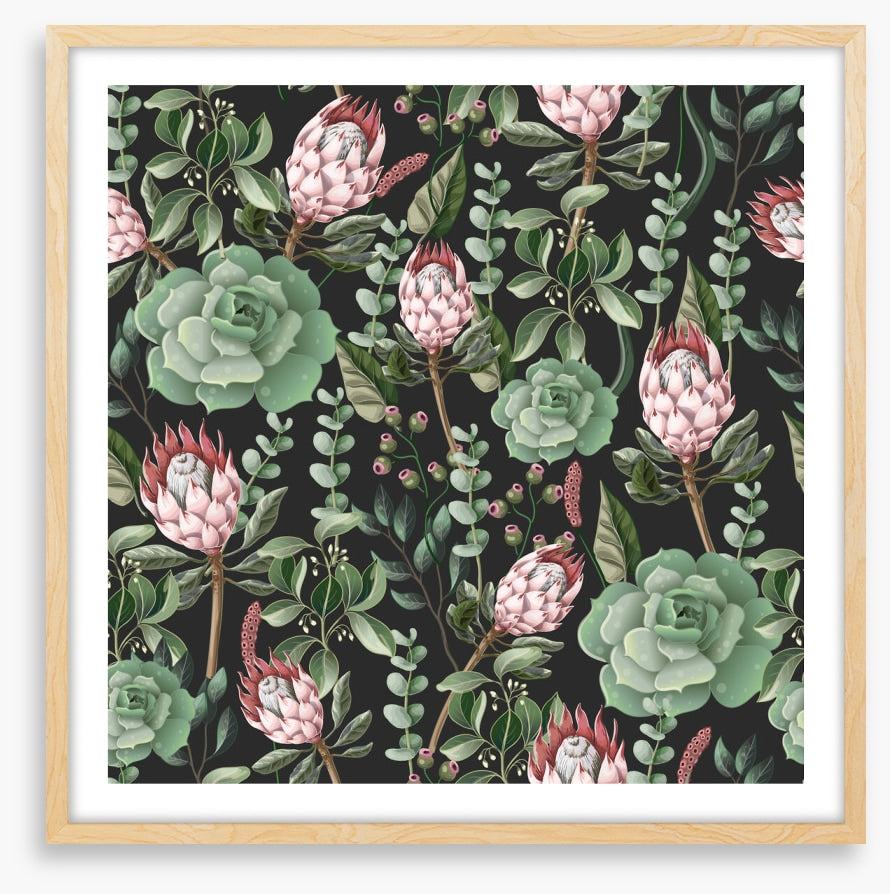 Pink protea leaves