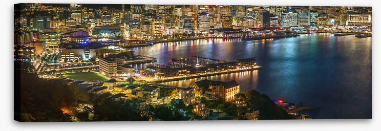 Wellington lights panorama