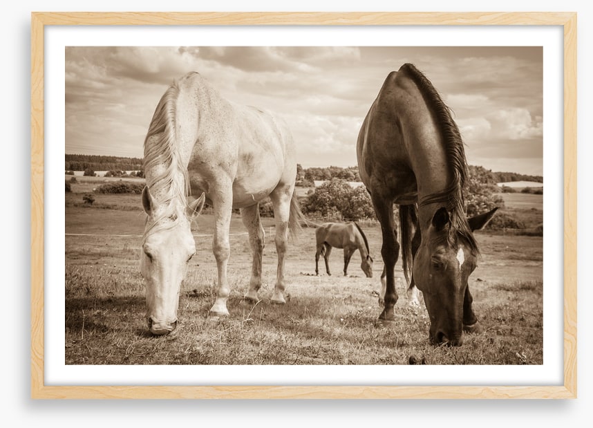 Graceful grazing
