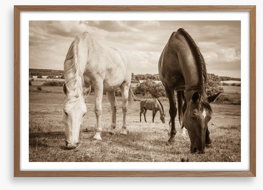 Graceful grazing